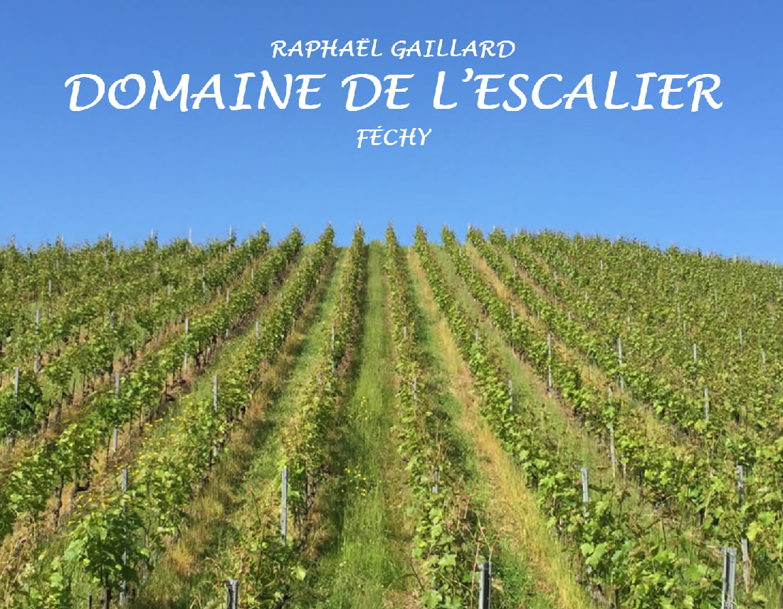 Site vitrine – lescalier-fechy.ch